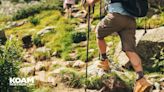 National Trails Day hike at George Washington Carver