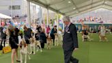 Dog Show 101: What's what at the Westminster Kennel Club