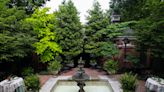 This 'hidden treasure' garden in Old Louisville has lush foliage as far as the eye can see