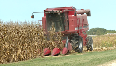 Recent lack of rainfall impacts harvests across West Tennessee - WBBJ TV