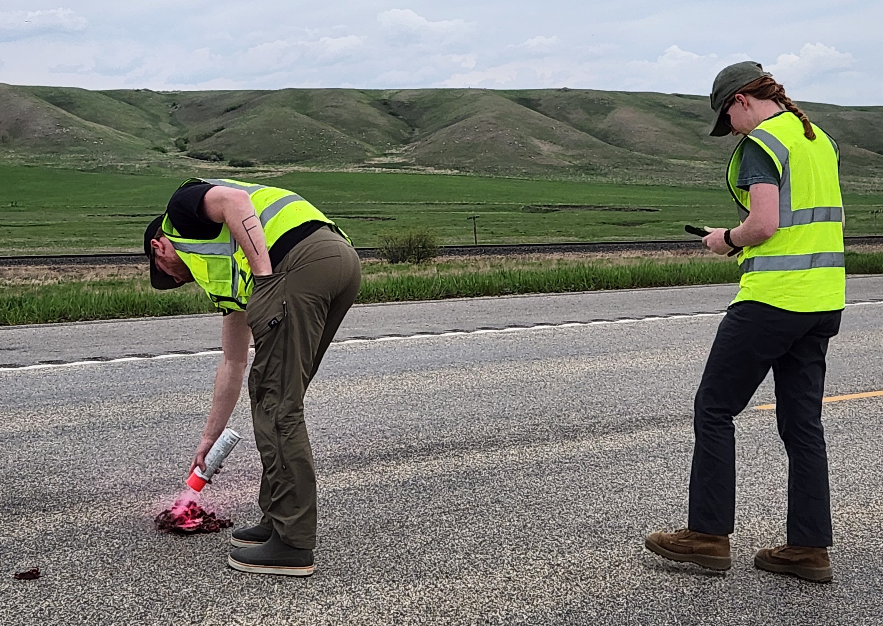 North Dakota roadkill study aims to shed light on hotspots for wildlife-vehicle collisions