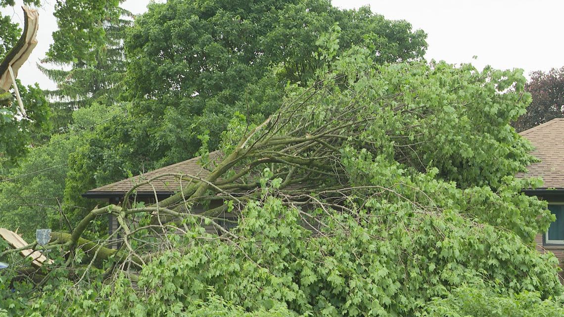 Hamburg residents start to recover following severe spring storms