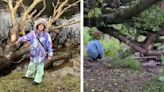 VIDEO: Moment beaver 'waves' to girl as she sits yards away at Perthshire beauty spot