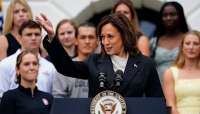 Harris quickly consolidates Democratic backing for her White House run