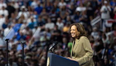 The 2024 Democratic National Convention kicks off next week. Here's what to expect.