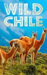 Wild Chile