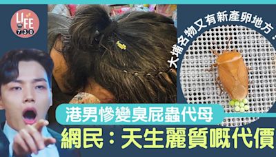 臭屁蟲14粒｜大埔名物又有新產卵地方！港男崩潰發文 網民笑爆