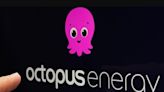 Octopus Energy sends £178 message to households across UK