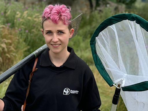 Work starts to rewild former cattle farm