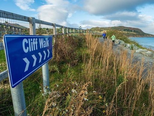 Bray to Greystones Cliff Walk: Call for end to short-term fixes