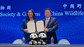 San Francisco Will Receive Two Pandas From China, Mayor Announces