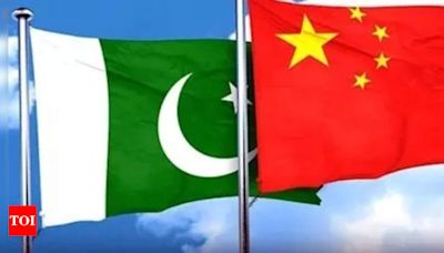 Pakistan a failed state, China dictating actions: Baloch activist - Times of India