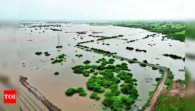 Villagers concerned about flooding risks in SMC's plan at Umber site | Surat News - Times of India