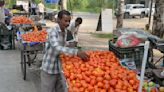 Tomato Price Takes A Major Dip: Check The List From Where To Buy