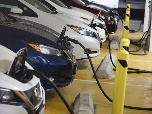 Overcapacity and 'alarming' price trends present speed bumps for Canada's battery industry as EV enthusiasm slows