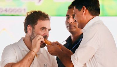 What’s viral ’Jalebi’ connection in Haryana elections? It’s related to Rahul Gandhi | Mint