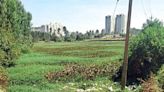 Restored Bidare Agrahara Lake promises serenity