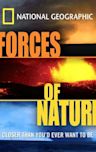 Forces of Nature (2004 film)