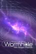 Through the Wormhole