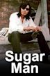 Searching for Sugar Man