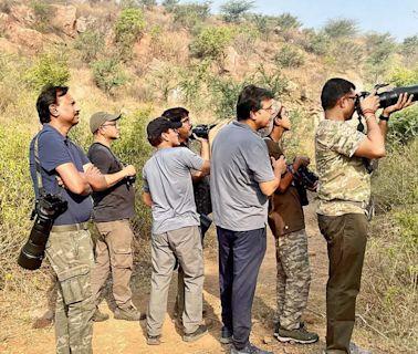 ‘Monsoon is a great time to go birding in Gurgaon’s many natural habitats’ | Events Movie News - Times of India