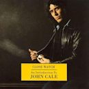 Close Watch: An Introduction to John Cale