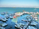 Miami International Boat Show