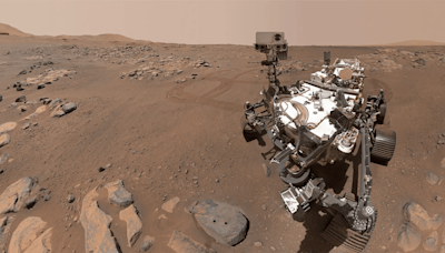 Perseverance Picks Up New "Companion" On Mars. This One Is Named "Dwayne"