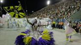 Cão caramelo vira enredo de escola de samba do Rio para o carnaval 2025