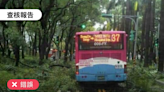 【錯誤】網傳圖片「台北市仁愛路變都市叢林」？