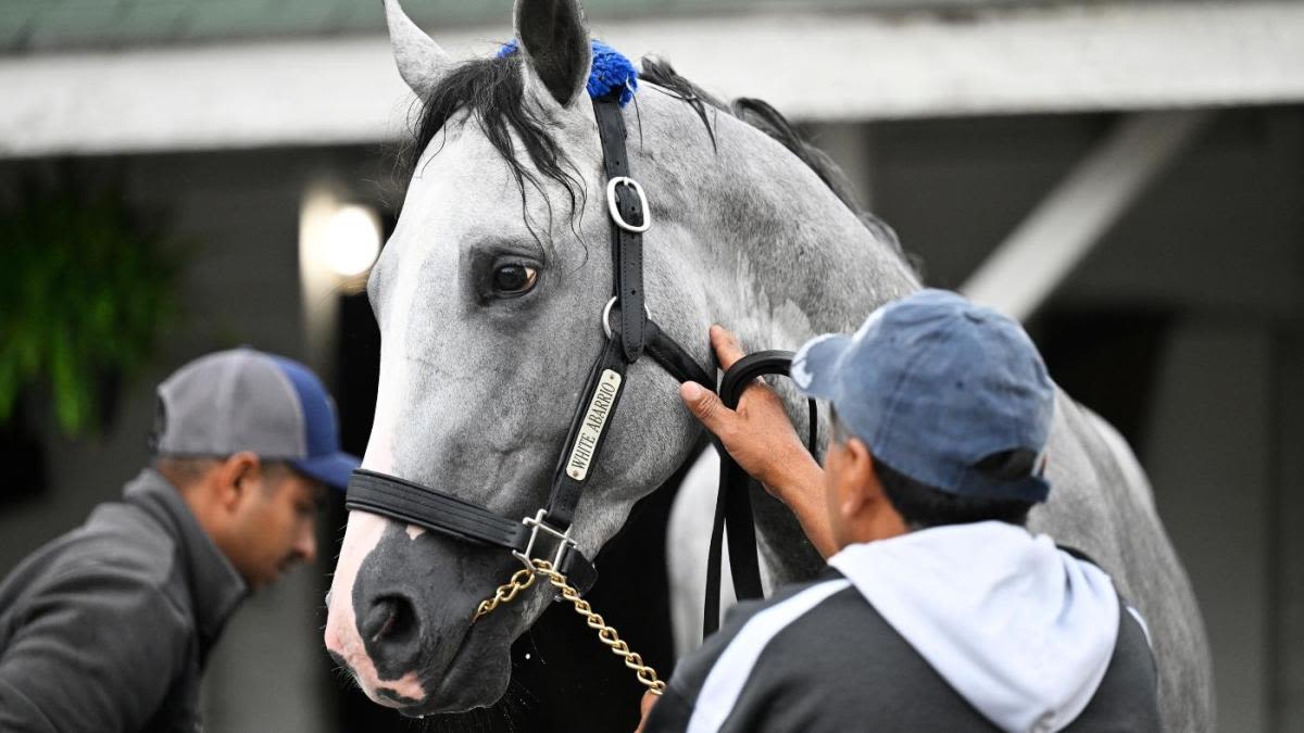 Kentucky Derby 2024 predictions, odds: Expert picks for win, place, show, trifecta, and superfecta