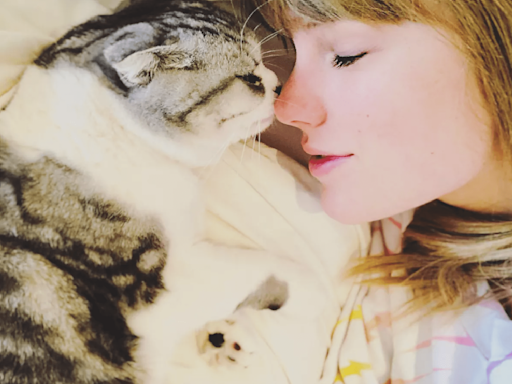 Taylor Swift's cat featured in her 'Childless Cat Lady' endorsement of Kamala Harris