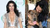 Angie Harmon Says Her Daughters Put on “Rizzoli & Isles” to Comfort Their Dogs While She's Gone (Exclusive)