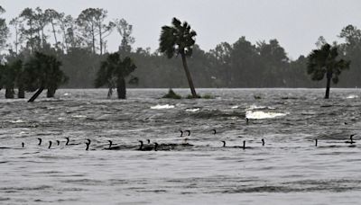 Mapped: Where Florida’s Gulf Coast is susceptible to hurricane storm surge