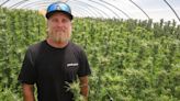Cannabis in crisis: Struggling SLO County businesses ask for fewer fees, regulations
