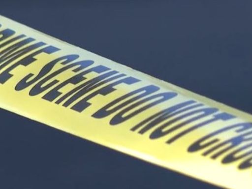 Man killed in shooting in Avondale, police say