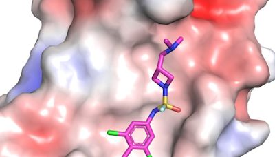 A Revolutionary Approach to Flu Prevention: New Molecules Stop Infection Before It Starts