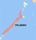 Palawan (island)