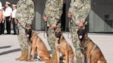 Rinden homenaje a los héroes de cuatro patas: "Eden", "Enry" y "Eska"