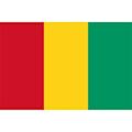 Guinea national football team