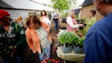 Making the Springside Greenhouse Group's annual plant sale come together