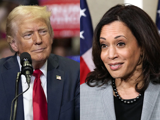 Kamala Harris Leads Donald Trump 44% To 42% In US Presidential Race: Survey