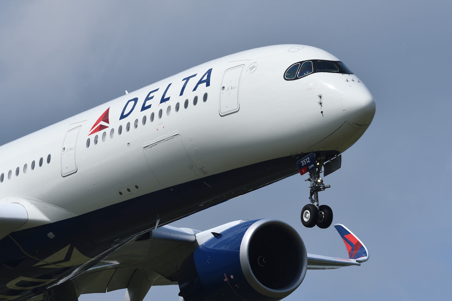 Black mold on Delta Air Lines meal sickens passengers — and prompts emergency landing