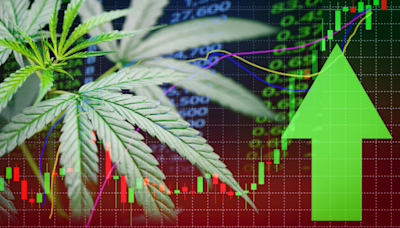 Treasure Hunt: 3 Cannabis Stocks Wall Street Hasn't Discovered Yet