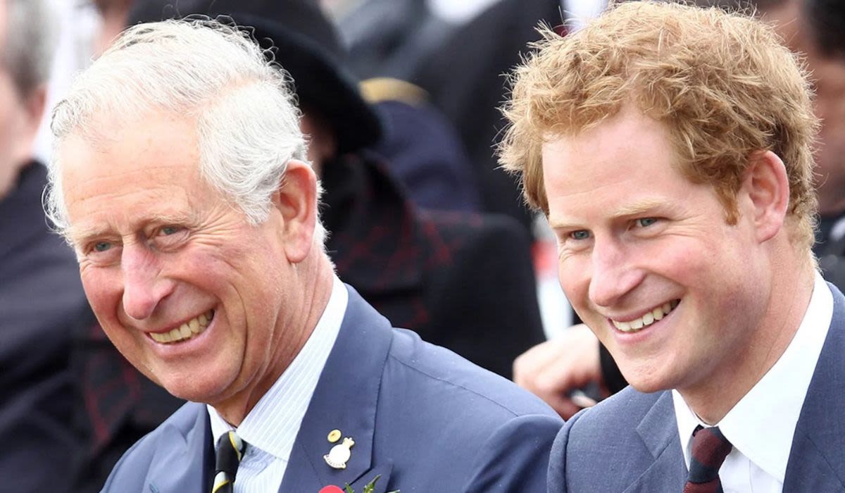 No Time For Prince Harry, King Charles BUSY As The Duke RETURNS