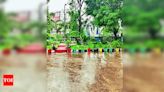 Chhattisgarh State 31% Below Average Rainfall with Expected Rains | Raipur News - Times of India