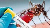 EL Salvador intensifica campaña contra el dengue - Noticias Prensa Latina