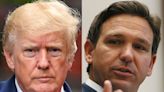 Ron DeSantis is strategically holding back from picking a fight with Trump, DeSantis ally and longtime GOP donor says: Rolling Stone