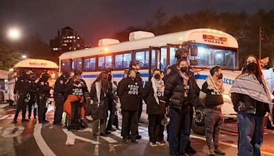 New York Pro-Palestinian Protest: Arrests Near Sen. Schumer's Brooklyn Home| In Pics