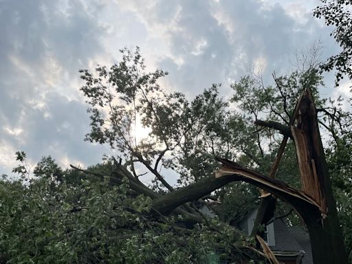 Fairway family displaced after storm knocks tree down on their home